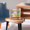 Dollhouse Miniature Glass Fish Tank Bowl Aquarium Doll House Home Ornament Toy For Dollhouse Decals