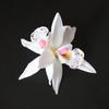 Cloth Simulation Flower Hair Clip Flower Korean Style Hairpins Orchid Duckbill Clip  Wash Face