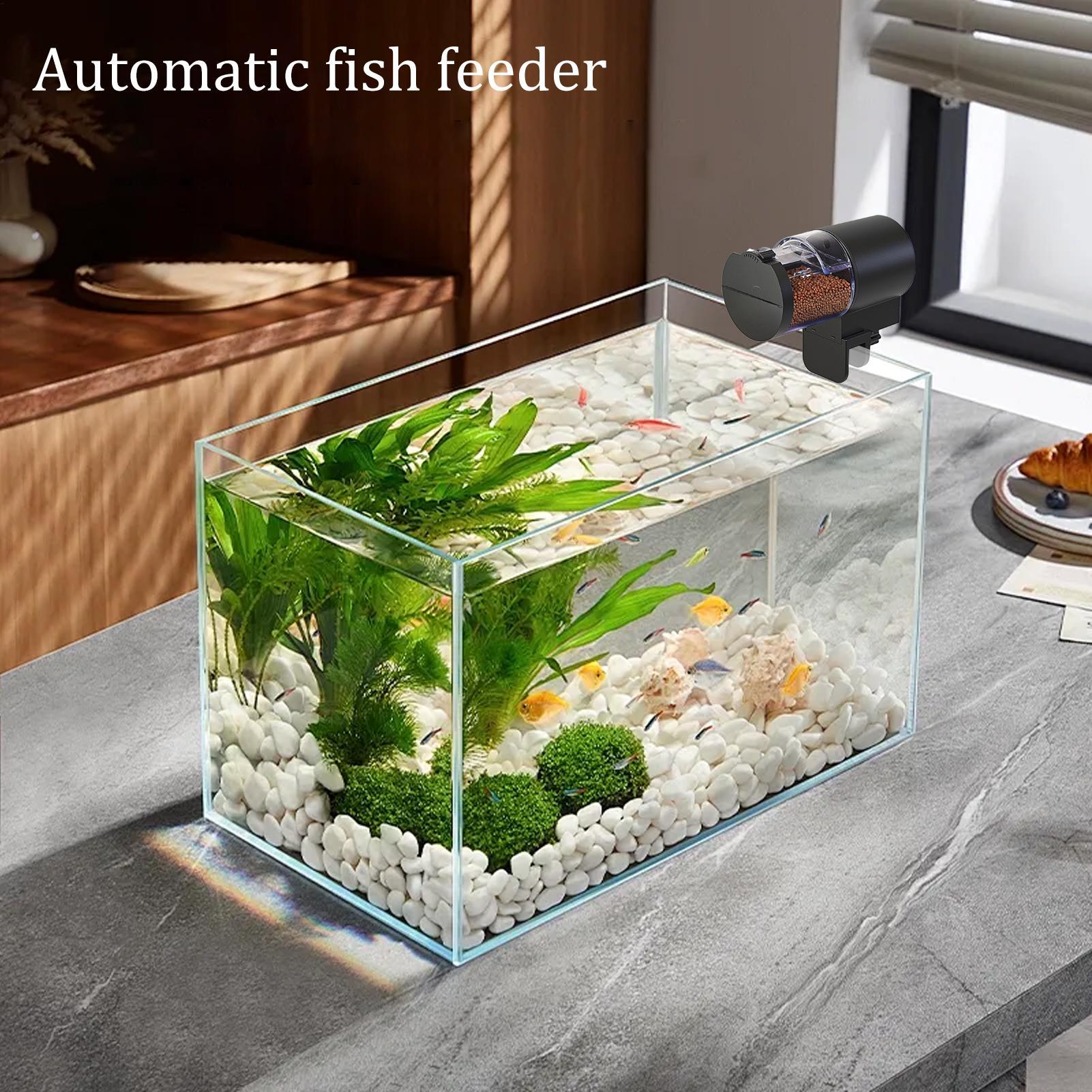 

Auto Fish Feeder 100ml Betta Feeding Device Moisture Resistant Timed Feeder For Travel Vacation Outdoor Pond Aquarium Betta China Mainland
