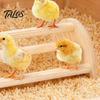 Poultry Coop Perch Wooden Chick Stand, Pine Wood Chicken Roosting Bar, Semi-Circular Backyard Accessories Toy Jungle Gym for Brooder Parrots