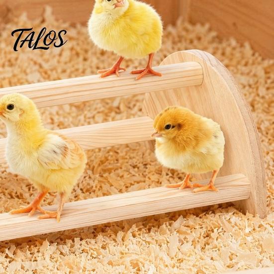 Poultry Coop Perch Wooden Chick Stand, Pine Wood Chicken Roosting Bar, Semi-Circular Backyard Accessories Toy Jungle Gym for Brooder Parrots