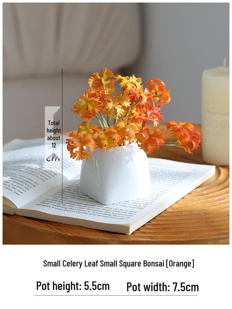 Miniature Succulent Bonsai Desk Ornament: Green Plant Props for Home or Office Decor