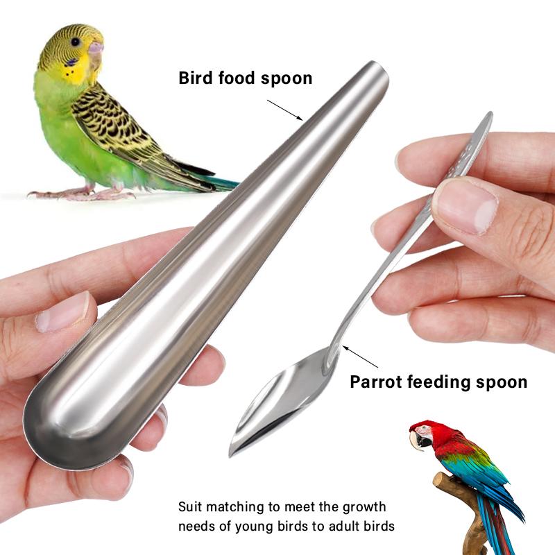 Bird Feeding Tool Pet Bird Parrot Bird Cage Stainless Steel Feeder Stainless Steel Bird Food Spoon Feeding Bird Supplies
