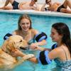 2pcs Swimming Weights Aquatic Cuffs Water Aerobics Float Ring Fitness Exercise Set Workout Ankles Arms Belts Pool Accessories