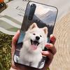 Für Sony Xperia 5 II Hülle Silikon Rückseite Handyhülle für Sony Xperia 5 II Hüllen Xperia1 III L4 Weiche Bumper Coque Cool Fundas