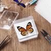 Insect Specimen Making Tool Insect Pin Wing Plate DIY Butterfly Specimen Tools Specimen Display Accessories Set for Butterfly