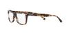 Ray-Ban eyeglasses RX5428F BROWN HAVANA 53 8173 GREY (browngray) & Asian fit