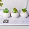 6Pcs Round Shape Succulent Flower Pot Mini Ceramic Pot New Plant Potted  Green Plant