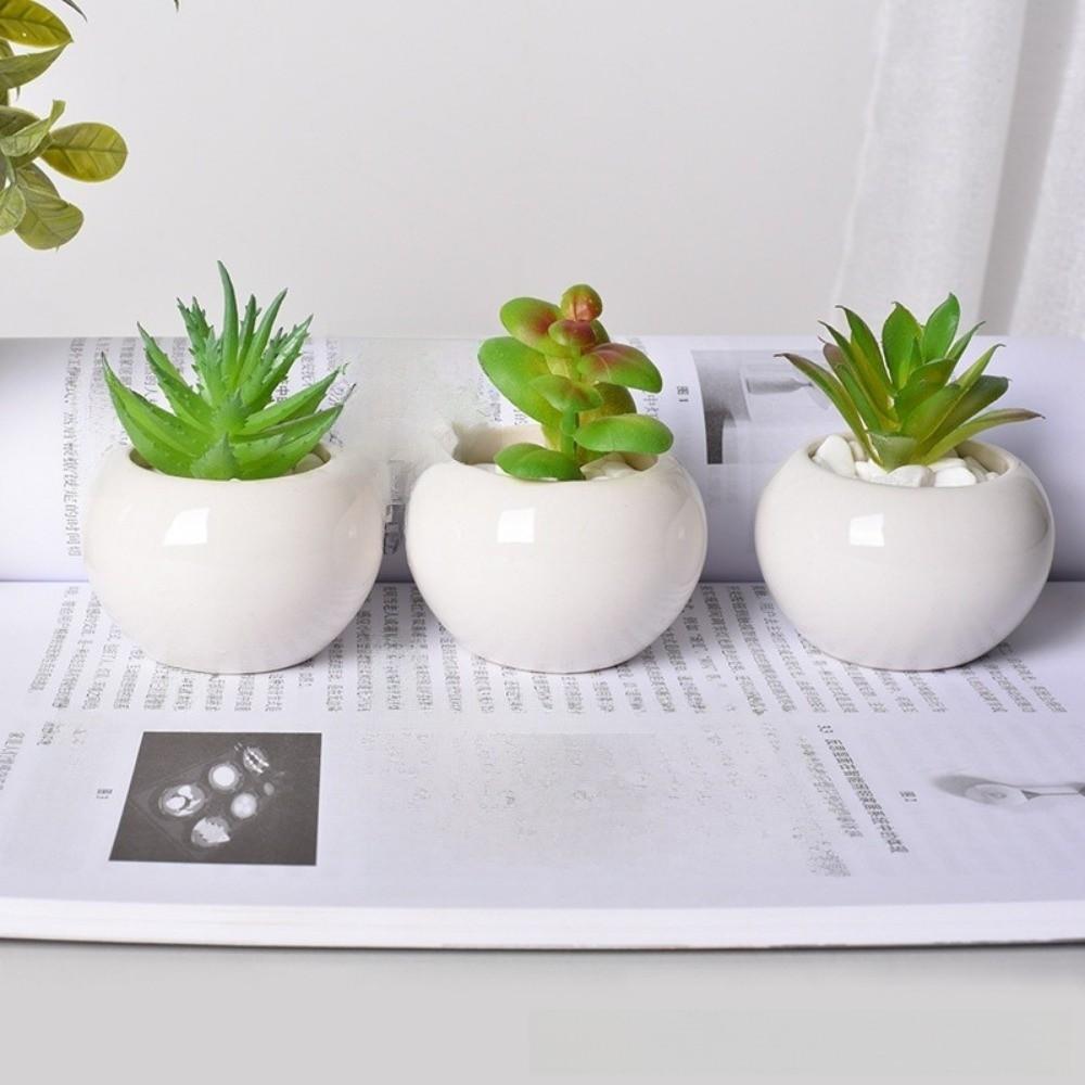 6Pcs Round Shape Succulent Flower Pot Mini Ceramic Pot New Plant Potted  Green Plant