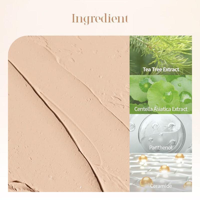 DASIQUE Pro Concealer Palette 9g (2 Colors)