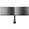 IiYAMA Bras double moniteurs DS1002C-B1