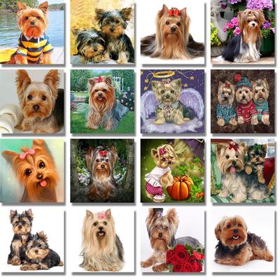 5D-Diamantgemälde zum Selbermachen, Yorkshire Terrier, kompletter runder Bohrer, Bild von Strasssteinen, Diamantstickerei