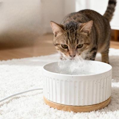 Cani – Distributori di cibo e acqua per gatti