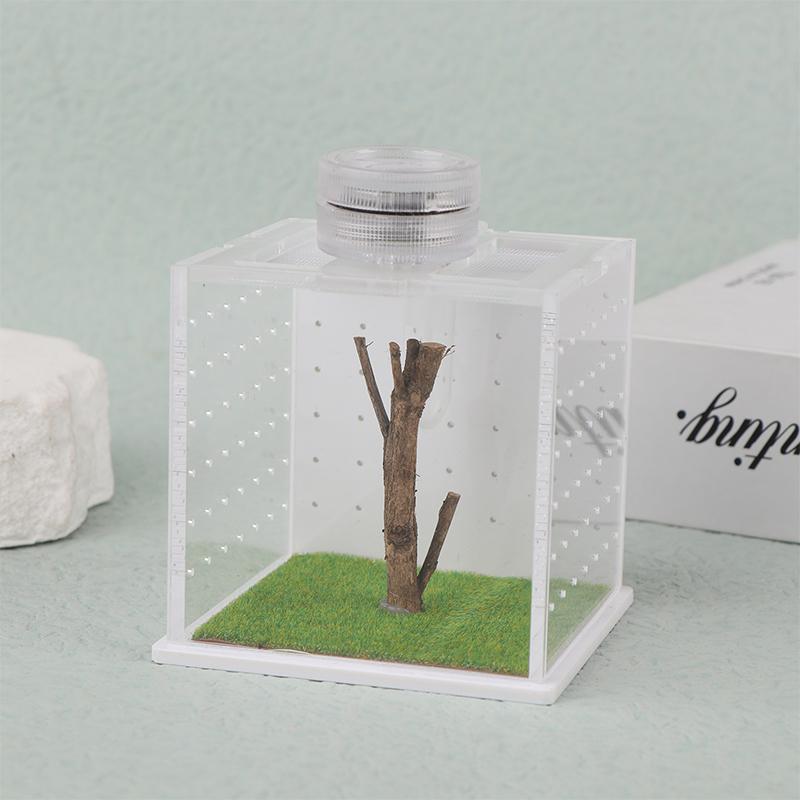 Springspinne Terrarium - Acryl Reptilien Zuchtbox Springspinne Box Mit Licht Luftbefeuchter Futterbehälter Zubehör