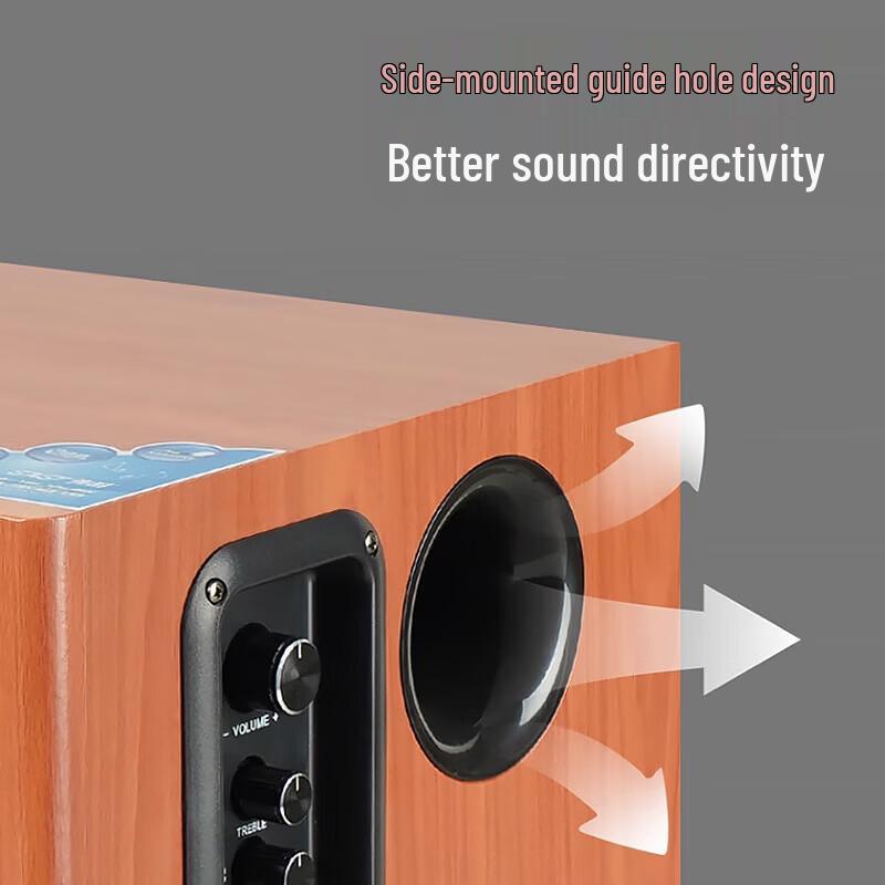 SAST SA-6606 Home KTV Bluetooth Speaker System CN Plug (adapter Included)