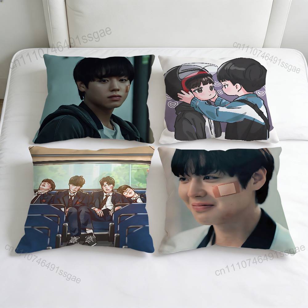 Kdrama WWeak HHero Decorative Square Pillow Cover Modern Cushion Case for Living Room Bedroom