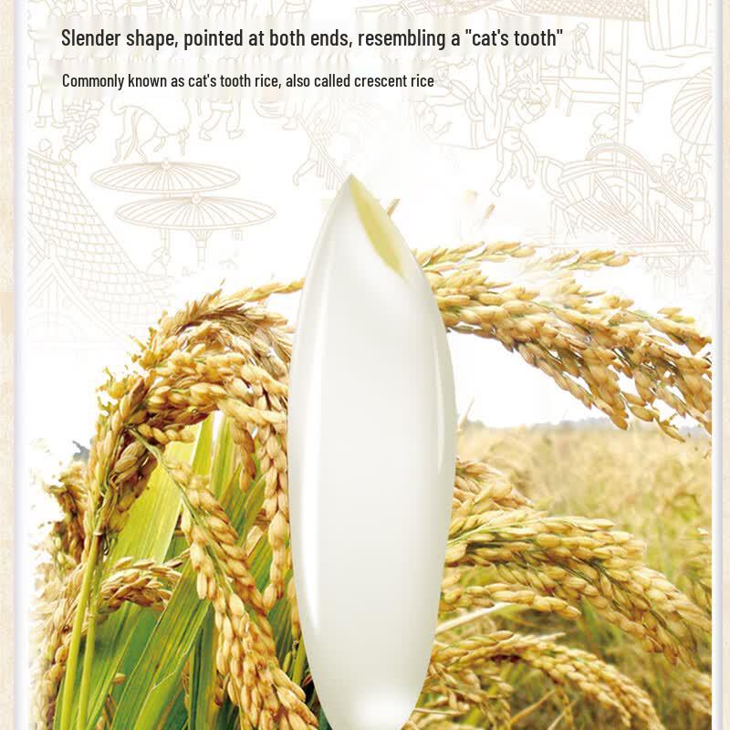 Poyang Lake Cat Tooth Silk Rice