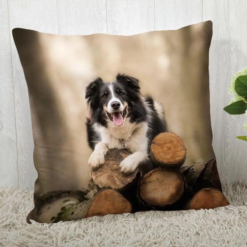 Pillowcase Border Collie  Modern Home Living Room Decor