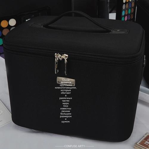Portable Professional Makeup Case Large Capacity, Waterproof Travel Cosmetic Organizer With Lock