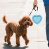 Portable Silicone Pet Travel Bowl - Foldable Dog & Cat Food/Water Dish