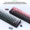 Customizable 68-Key RBG Backlit Wired Mechanical Keyboard 2.4G+BT Hot Swappable Low Profile Plastic Keys for Gaming Computer