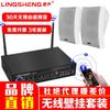 Lingsheng Wireless Bluetooth Power Amplifier with Wall Speakers CN Plug (adapter Included)