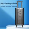 Malata M+9797 Portable Trolley KTV Speaker (CN Version)