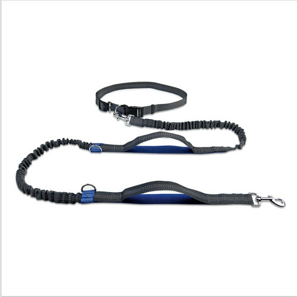 mod retractable dog leash with light