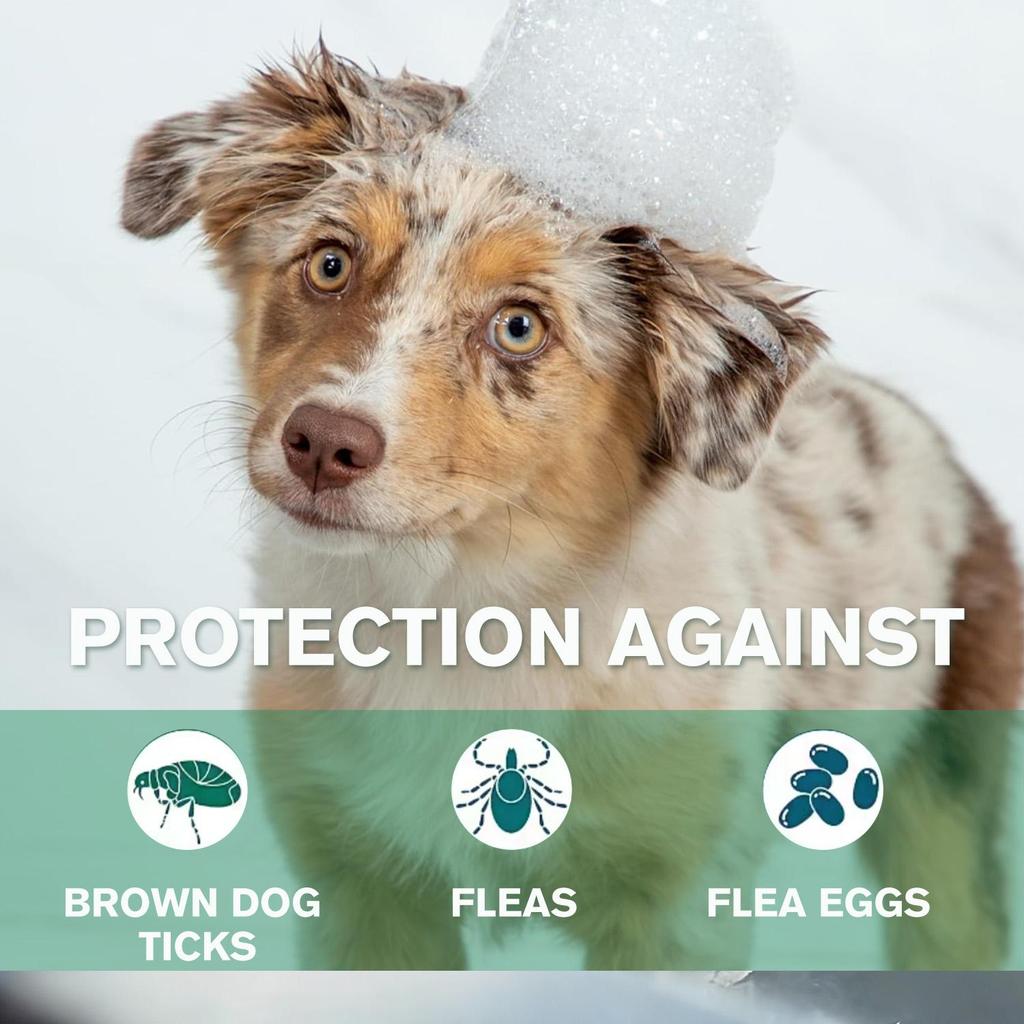 FLEA & TICK DOG SHAMPOO-Smooth And Fluffy-Protection Against Brown Dog-Pure Herbal-300ml