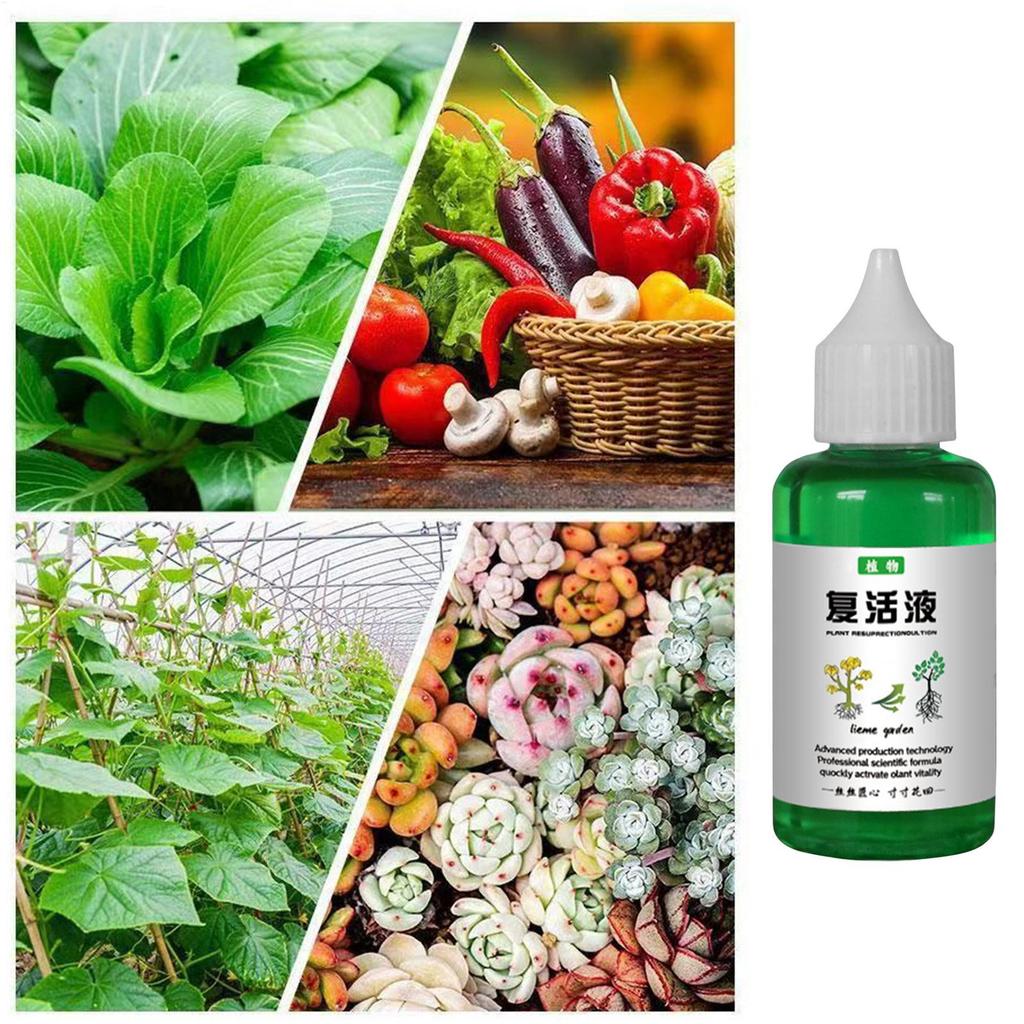 50ml Plant Revitalizer Resurrection Liquid Fertilizing Liquid Concentrate Fertilizing Liquid Concentrate Plant Promotes Growth