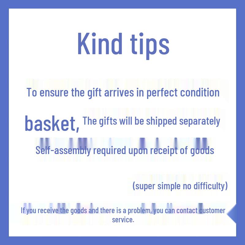 Dragon Boat Festival Gift Set