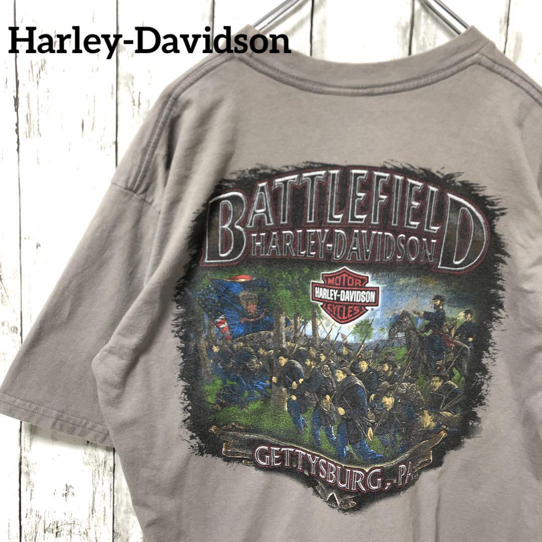 

[USED] C2364 USA Made Harley-Davidson T-Shirt