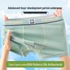 Reine Baumwoll-Boxershorts für Jungen mit antibakteriellem Maulbeerseiden-Schritt - Mittlere bis Große Größen