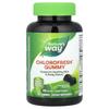 Nature's Way Chlorophyll Orchard Fruits 100mg Gummies, 60 Count