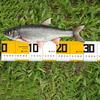 Fischerei-Lineal Ausrüstung Fisch-Messlineal Fisch-Messwerkzeug Fisch-Messgerät Fischerei-Lineal Outdoor Fisch-Lineal