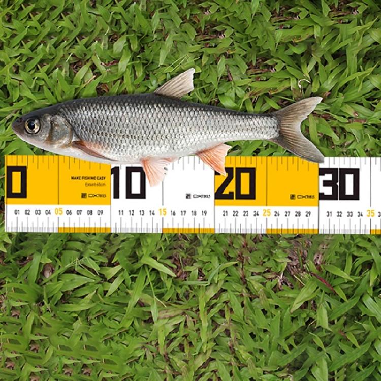 Fischerei-Lineal Ausrüstung Fisch-Messlineal Fisch-Messwerkzeug Fisch-Messgerät Fischerei-Lineal Outdoor Fisch-Lineal