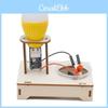 Шкільний DIY дерев'яний генератор на сольовій воді Науковий експеримент STEM Освітня іграшка
