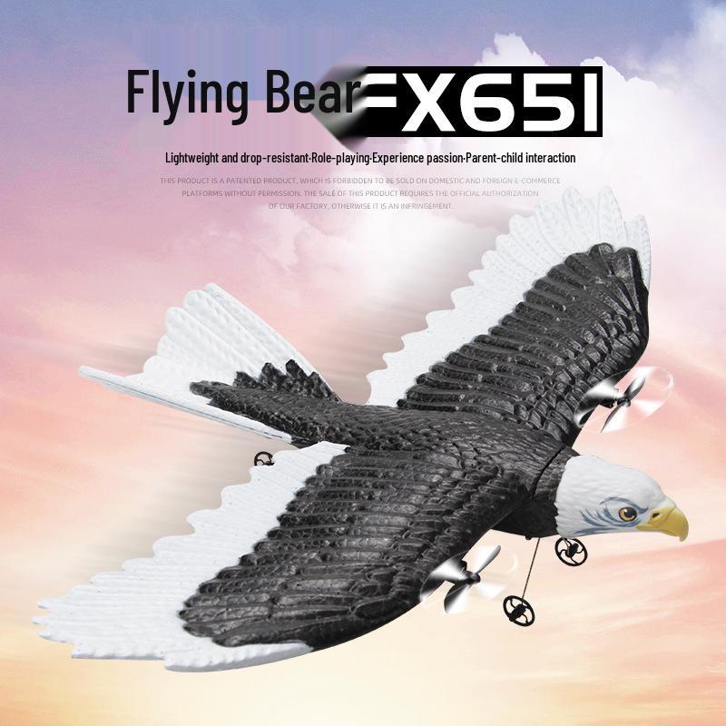 FX651 Remote Control Glider Airplane Toy - Electric Fixed-Wing Eagle for Kids Outdoor Fun