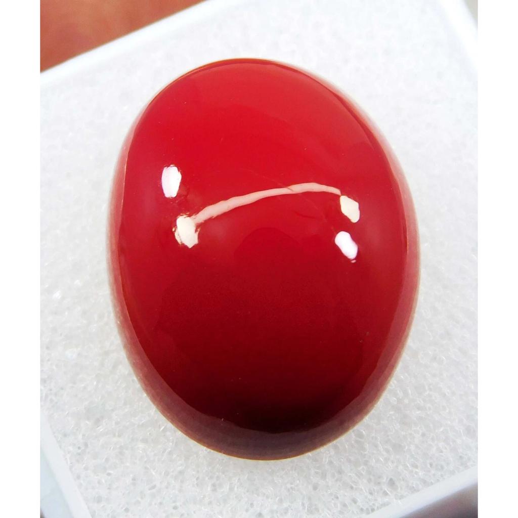 AAA+ Natural Red Coral 22.15 CT Oval Cabochon Cut Italian Loose Gemstone