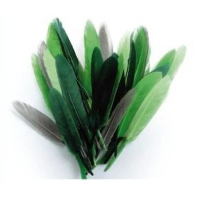 Indian Feathers - Monochrome - Green - 10g Bag - Approximately 40 Feathers - Length 15 Cm