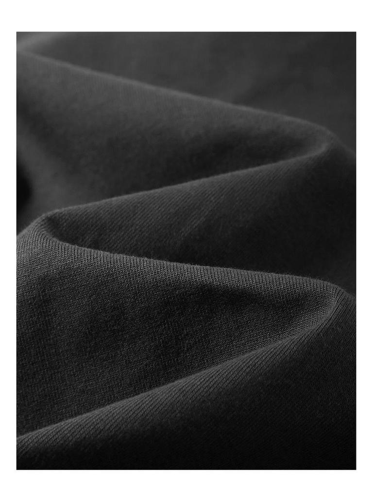 Unisex Heavyweight 300g Cotton Crew Neck Solid Color T-Shirt