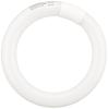 Circular 20W Daylight White High White FCL20N18B