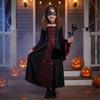 Girls Halloween Witch Costume Lace-Up High Collar Dress Set
