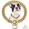 Cães – Colares e correias para cães