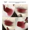 Long-lasting Lipstick Velvet Matte Lip Gloss Waterproof Lip Makeup