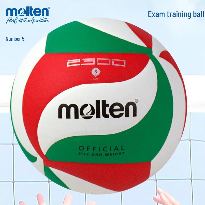 Molten Indoor Volleyball