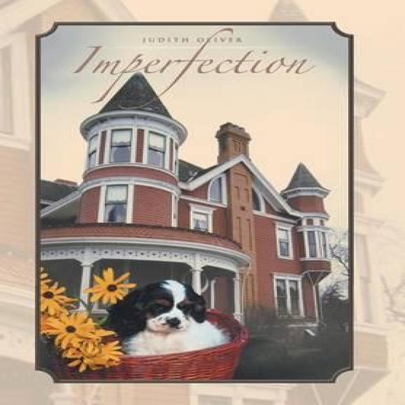 Imperfection von Judith Oliver Hardcover Buch 9781512747508