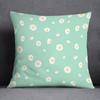 Mint Green Fresh Pillow Gift Home Office Decoration  Bedroom Sofa Car Cushion Cover case