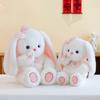 Toy Bunny Plush Cute Cartoon Butterfly Girl Children Birthday Holiday Doll Gift