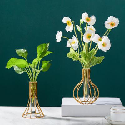 Glasvase, transparente Flasche, geschmiedet, nordischer Stil, Reagenzglas, Eisen, Terrarium, Blumenvase für den Garten